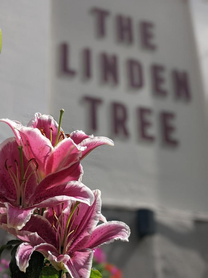Linden Tree Panzió Gloucester Kültér fotó